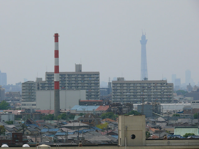 画像050