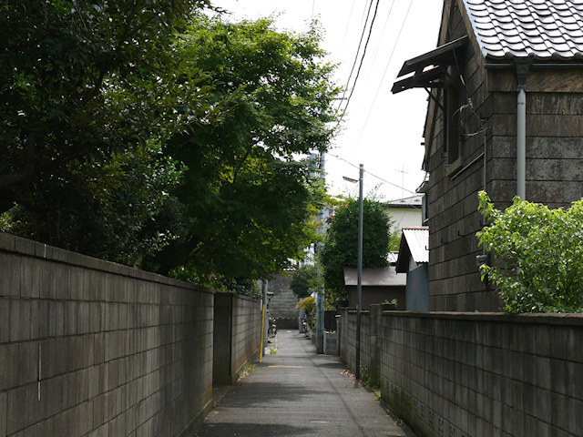 画像113
