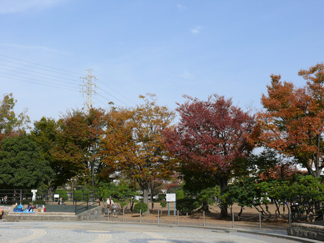 画像037