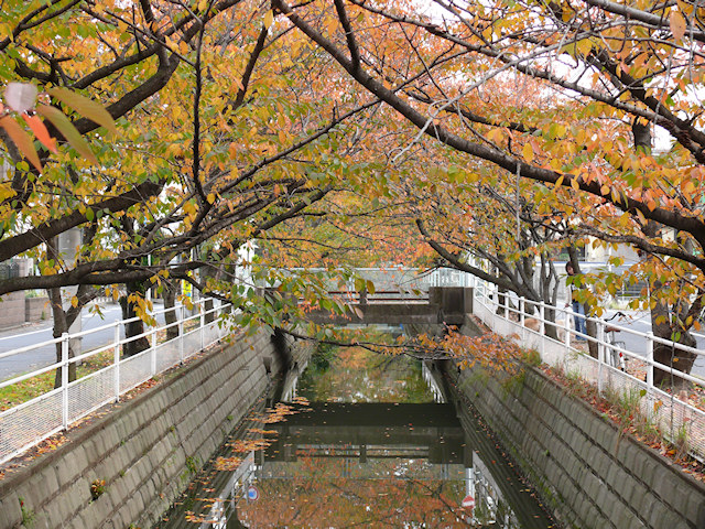 画像040