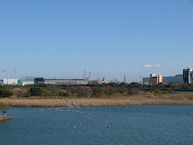 画像059