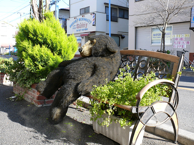 画像077