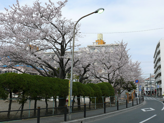画像086
