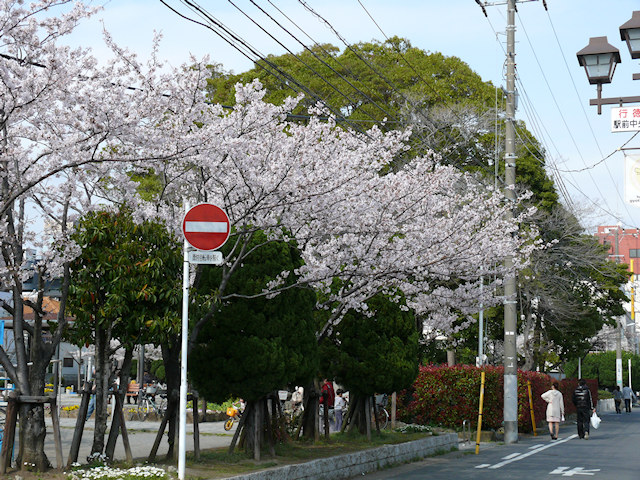 画像094
