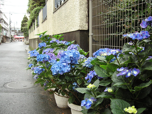 画像045