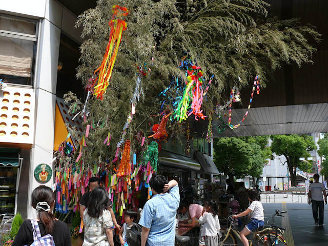 画像050