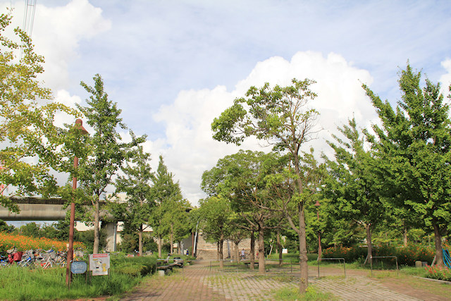 画像018