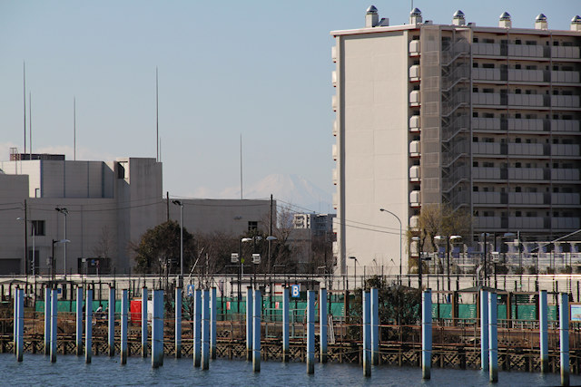 画像003