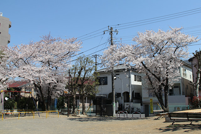画像098