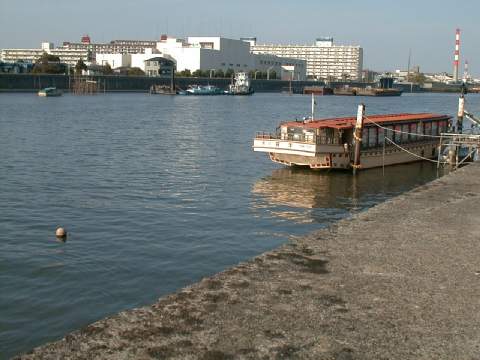 行徳のアルバム４－川の風景-江戸川放水路と旧江戸川(11)