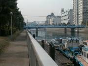大富橋そばの遊歩道