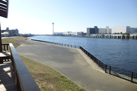 眺望施設から旧江戸川下流方向
