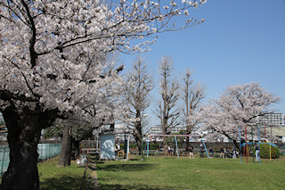 行徳児童公園