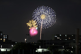 2025N̉ԉ