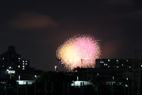 2025N̉ԉ