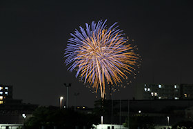2025N̉ԉ