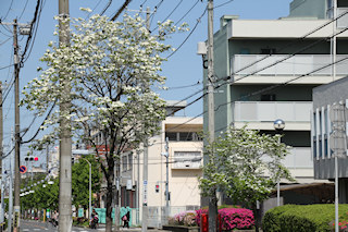 湊新田二丁目・福栄二丁目