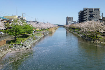 新川橋からの新川東方向