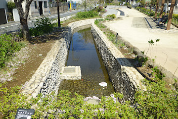 古川親水公園最初の部分の水路再現