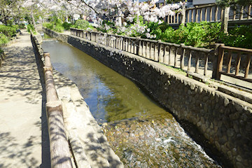 水を流している水路