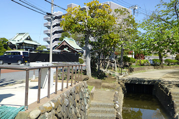 妙光寺