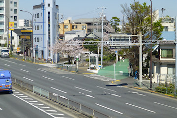 歩道橋から環七と親水公園東側