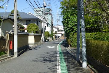 旧江戸川への道