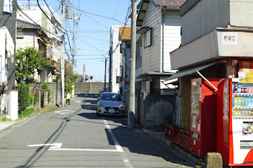 前方の旧江戸川堤防