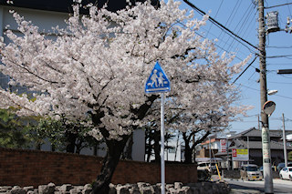 南行徳小学校前