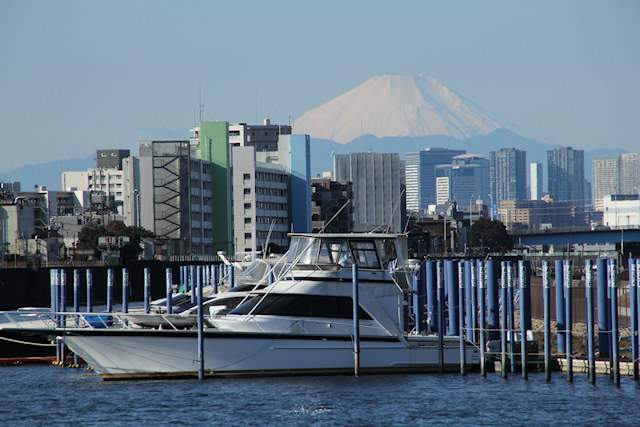 湊の旧江戸川堤防から富士山